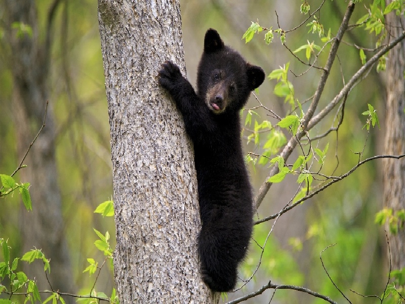 试管艾灸的位置图片,怎样试管费用低